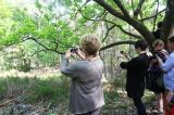Promenons nous dans les bois 57 * 5184 x 3456 * (11.0MB)